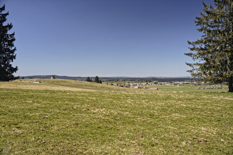 DSC _DxO K