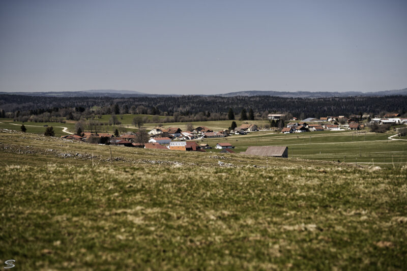 DSC _DxO K
